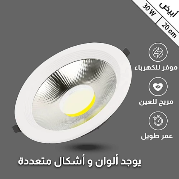 كشاف دفن  20 سم 30 واط